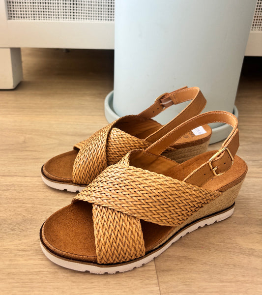 Ziera Kaeme ~ Biscuit