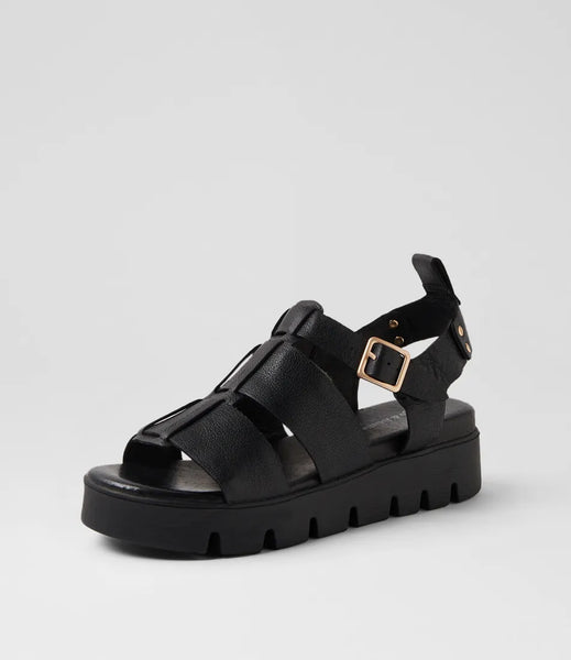 Django & Juliette Relie ~ Black ~ Leather