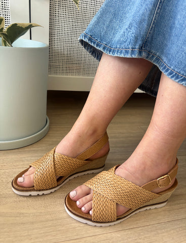 Ziera Kaeme ~ Biscuit