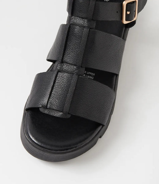 Django & Juliette Relie ~ Black ~ Leather