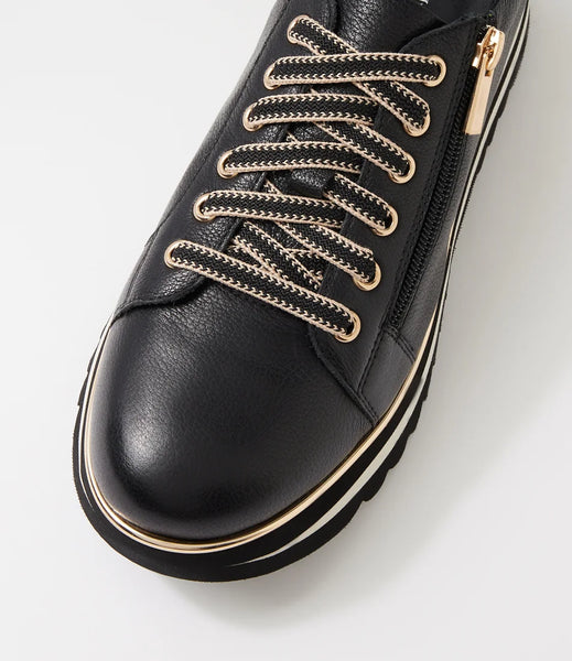 Django & Juliette Eammes ~ Black ~ White ~ Almond ~ Navy ~ Red ~ Leopard ~ Leather