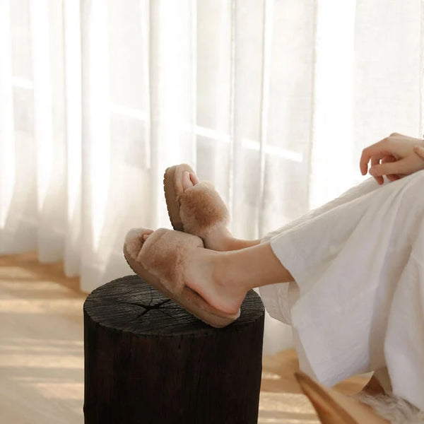 Emu Austraia Mckay ~ Camel