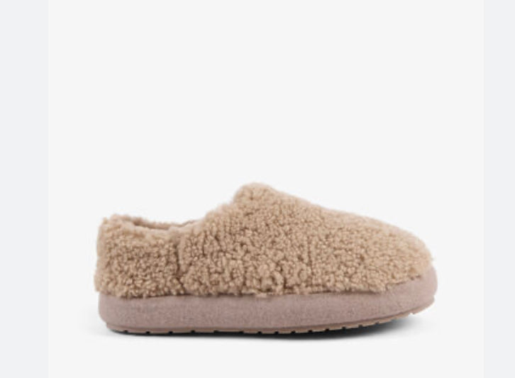 Emu Australia ~ Aston ~ Mushroom