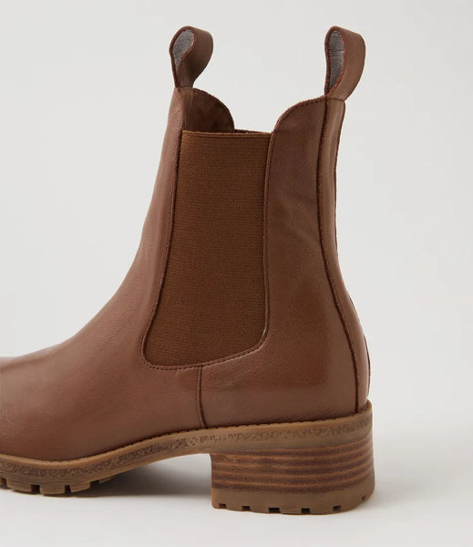 Django & Juliette Medgars Chelsea Boot ~ 2 Colours ~ Black ~ New Cognac