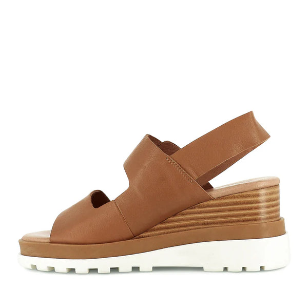 Django & Juliette Barmer ~ Tan ~ White ~ Black ~ Rose