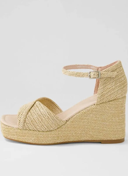 Django & Juliette Cottony