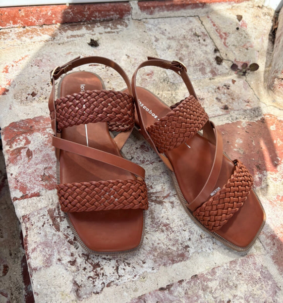 Los Cabos Basquet Brandy