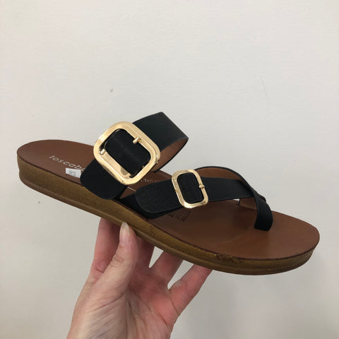 Los Cabos Dany Black