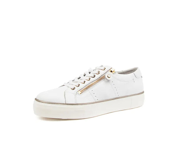 Django & Juliette Froggy ~ Navy ~ White ~ Vanilla ~ Black ~ All Black ~ Leather