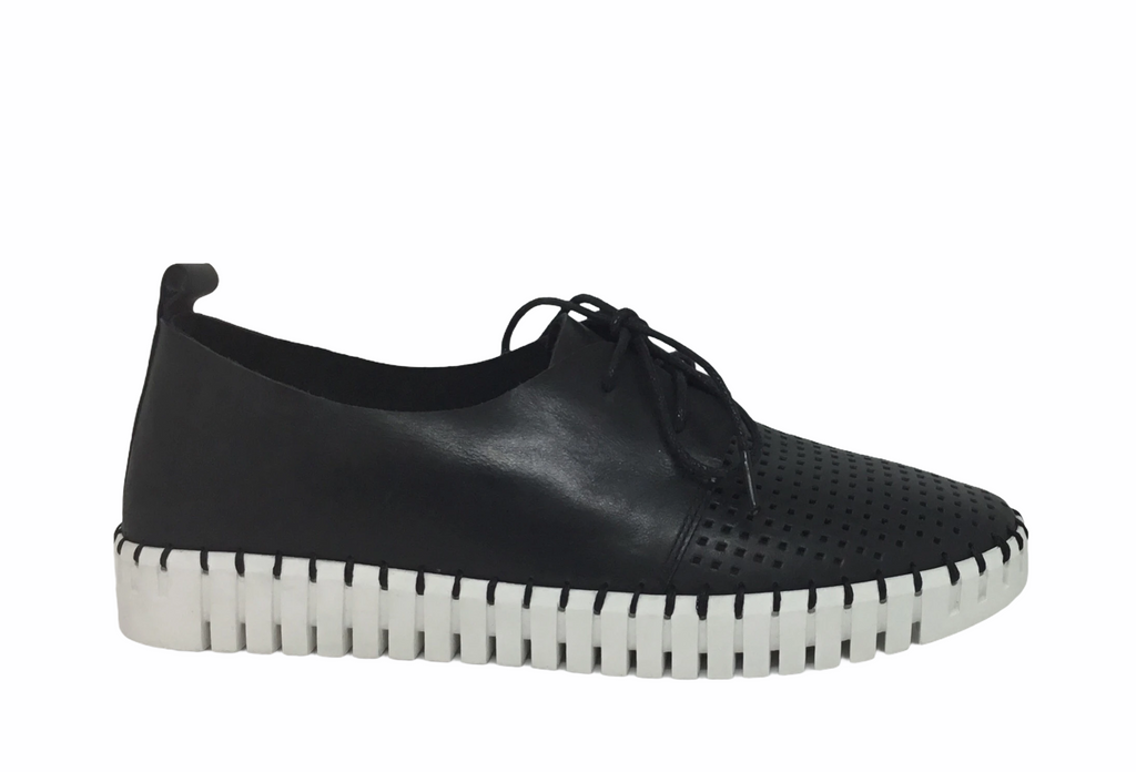 Django & Juliette Huston Leather ~ 8 Colours