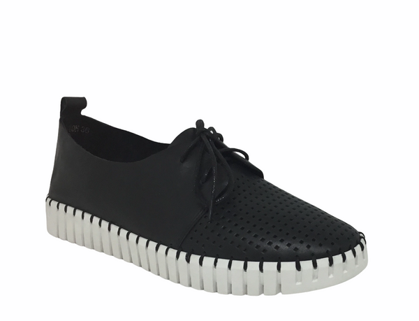 Django & Juliette Huston Leather ~ 8 Colours