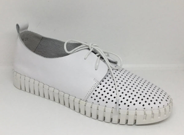 Django & Juliette Huston Leather ~ 8 Colours