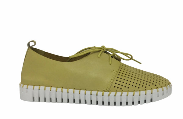 Django & Juliette Huston Leather ~ 8 Colours