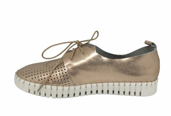 Django & Juliette Huston Leather ~ 8 Colours