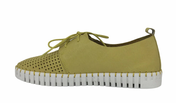 Django & Juliette Huston Leather ~ 8 Colours