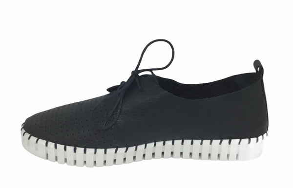 Django & Juliette Huston Leather ~ 8 Colours