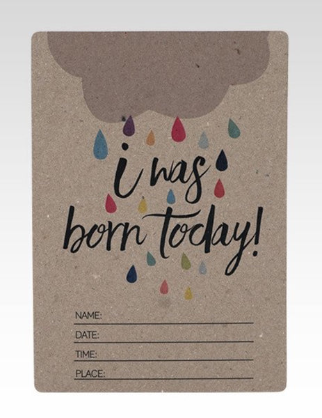 Rhicreative Baby Photo Cards