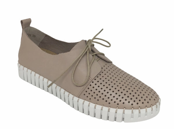 Django & Juliette Huston Leather ~ 8 Colours