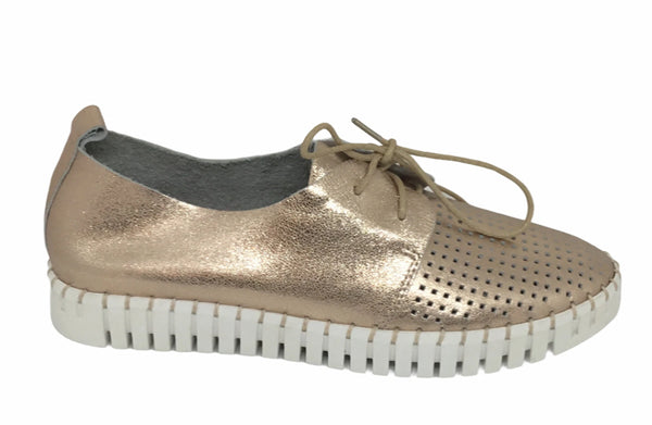 Django & Juliette Huston Leather ~ 8 Colours