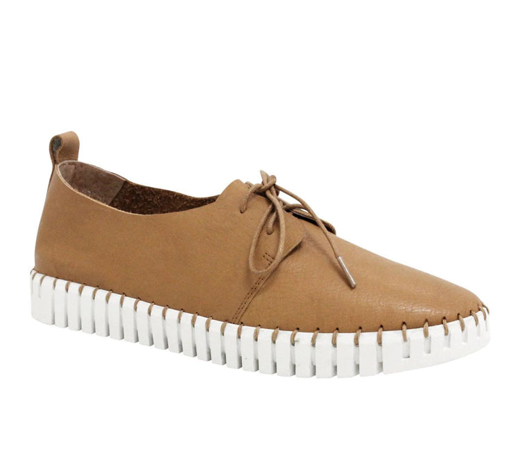 Django & Juliette Huskies ~ Tan ~ Sunset