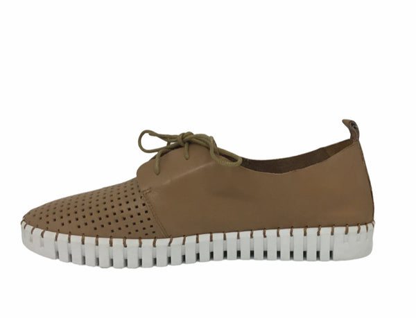 Django & Juliette Huston Leather ~ 8 Colours