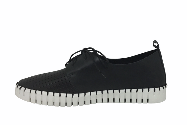 Django & Juliette Huston Leather ~ 8 Colours