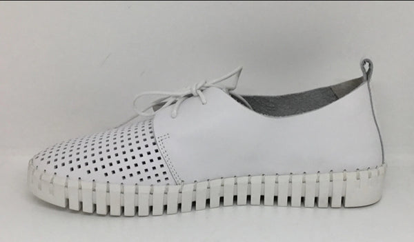 Django & Juliette Huston Leather ~ 8 Colours