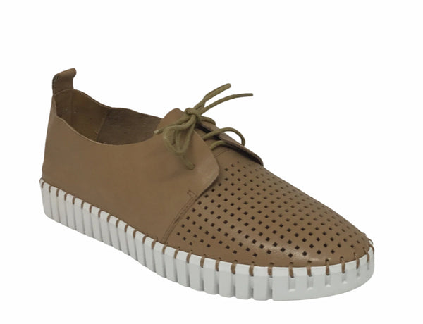 Django & Juliette Huston Leather ~ 8 Colours