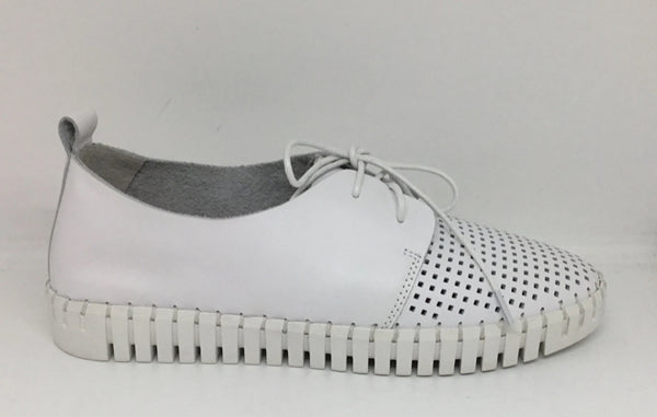 Django & Juliette Huston Leather ~ 8 Colours